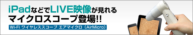 �G�A�}�C�N��