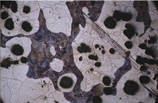 Photo2
